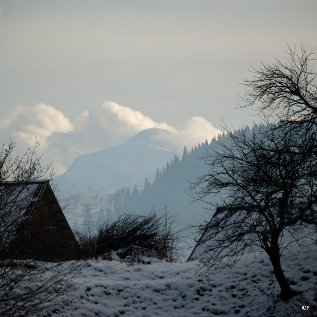 Чорна Тиса з panoramio.com - Чорна Тиса