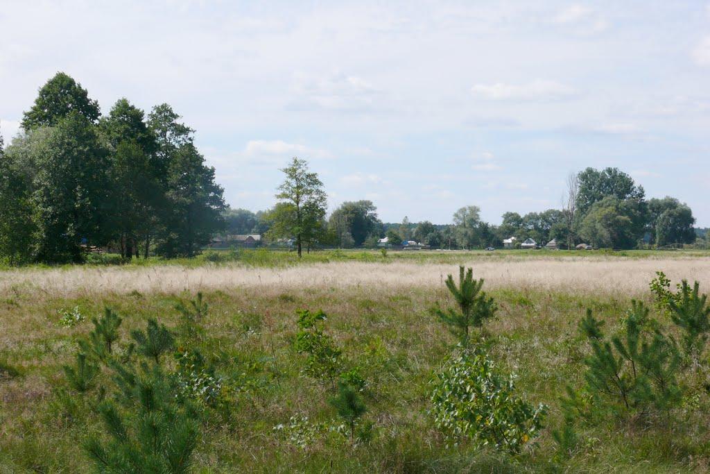 Тишиця з panoramio.com - Тишиця