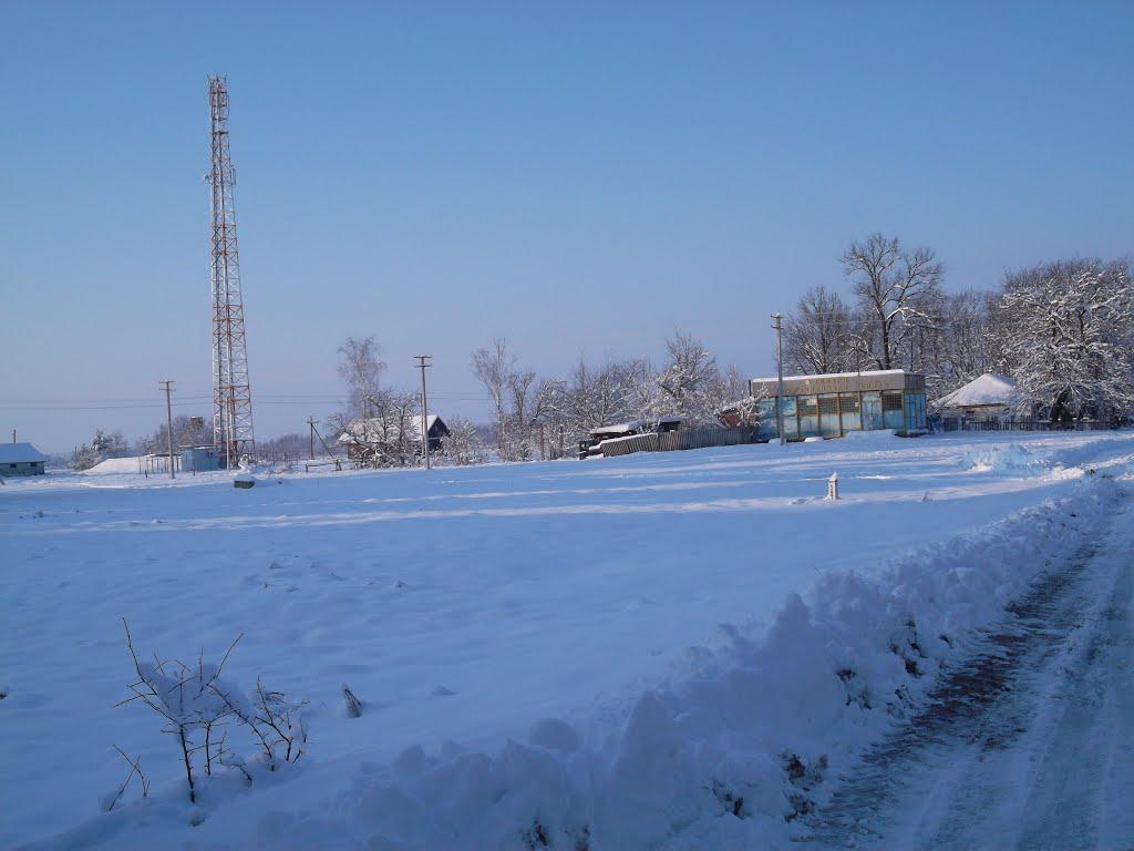Ялцівка з panoramio.com - Ялцівка
