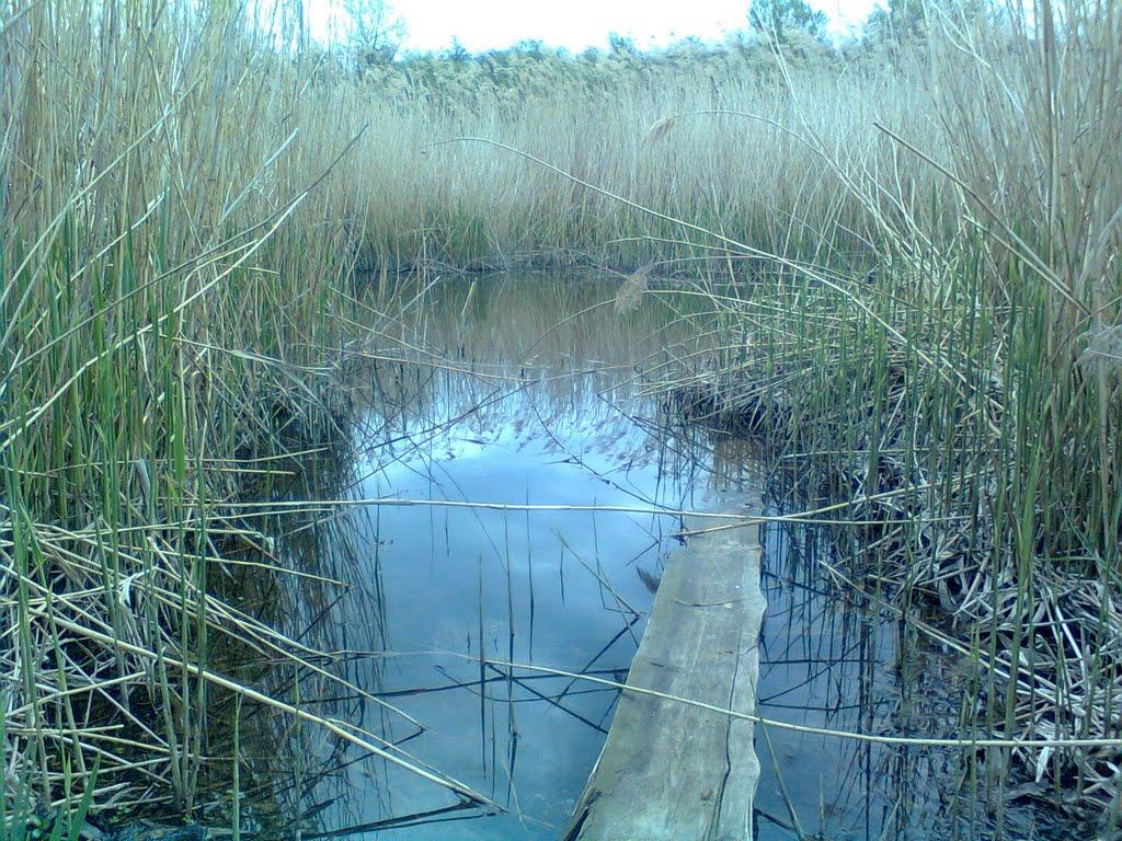 Мала Деревичка з panoramio.com - Малая Деревичка