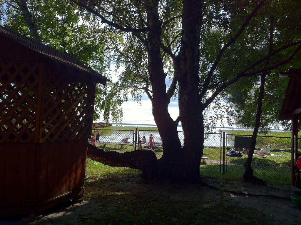 Шацьк з panoramio.com - Шацк