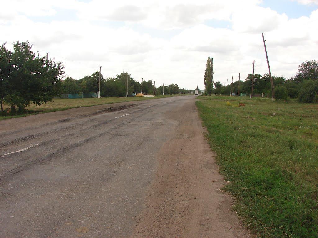 Рози Люксенбург з panoramio.com - Новое Шахово