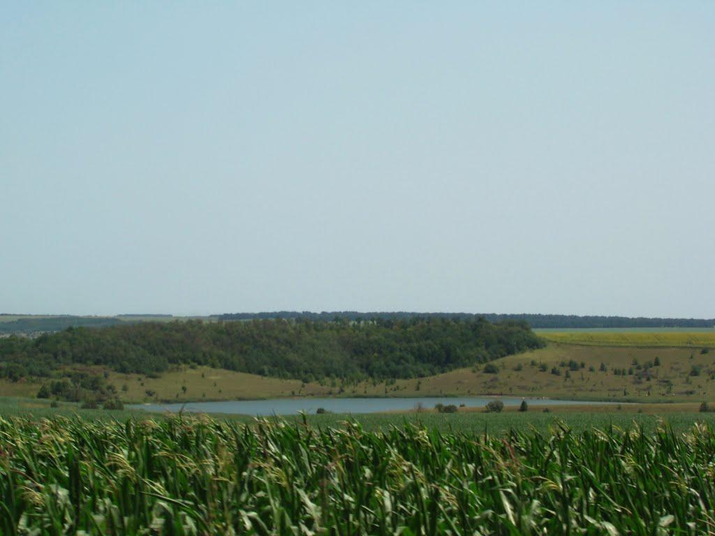 Коханівка з panoramio.com - Кохановка