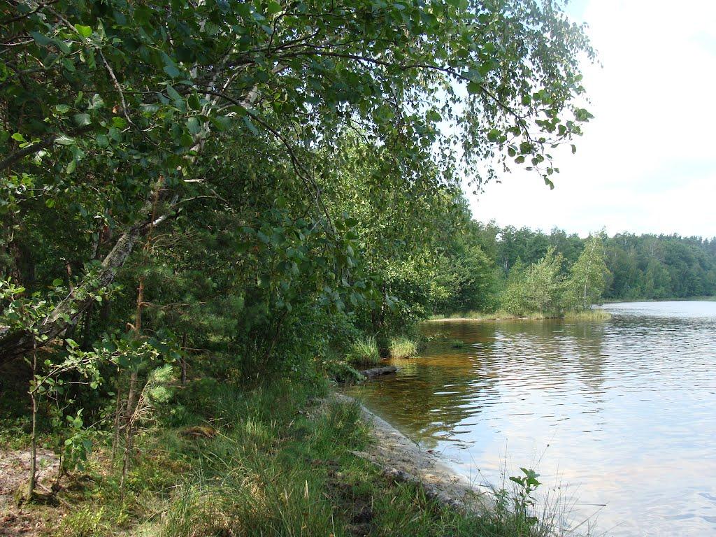 Острівськ з panoramio.com - Островск