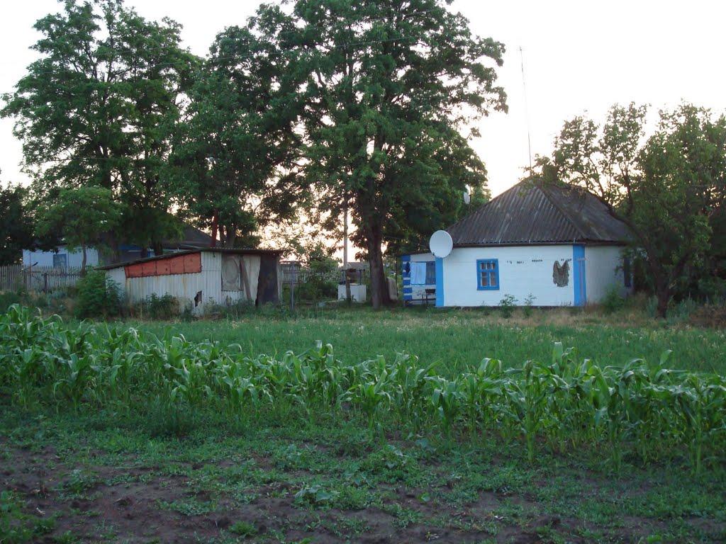 Побузьке з panoramio.com - Побугское