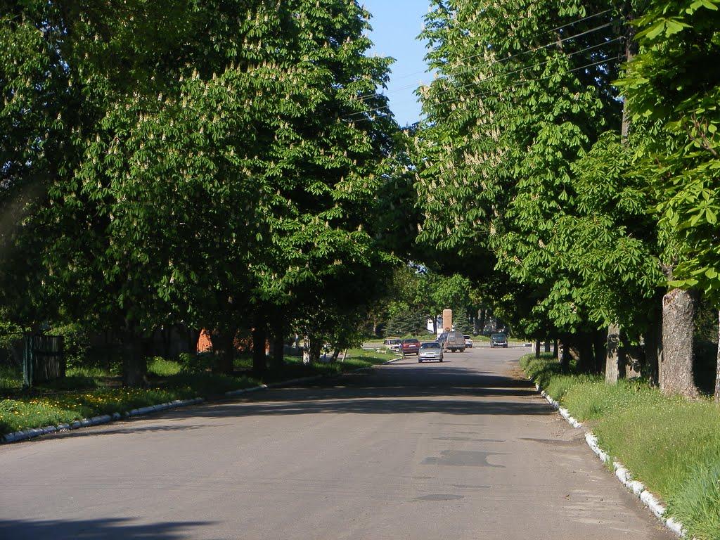 Шишаки з panoramio.com - Shishaki