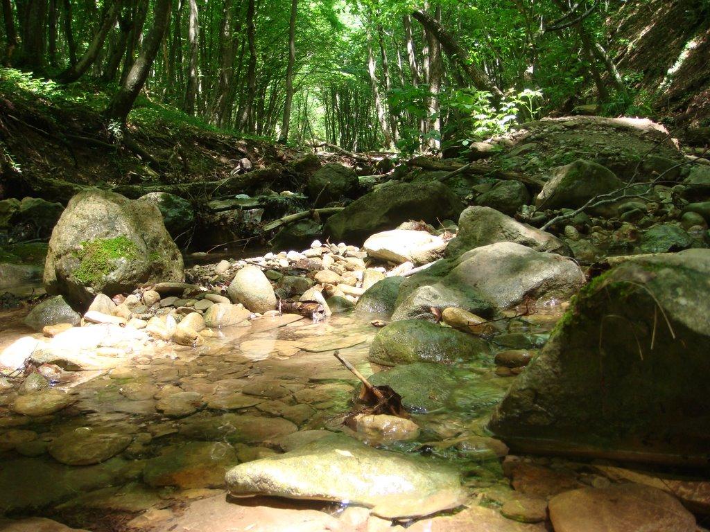 Чайковське з panoramio.com (ч.2) - Чайковское