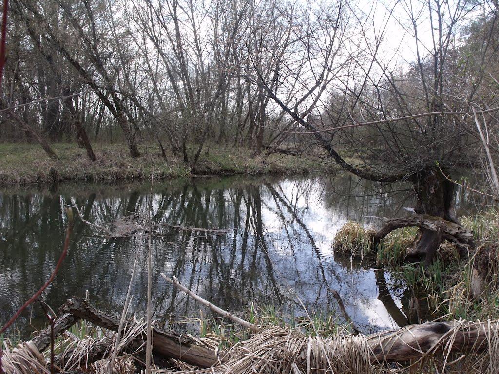 Сорокове з panoramio.com - Сороково