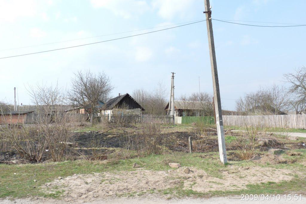 Оране з panoramio.com - Orane