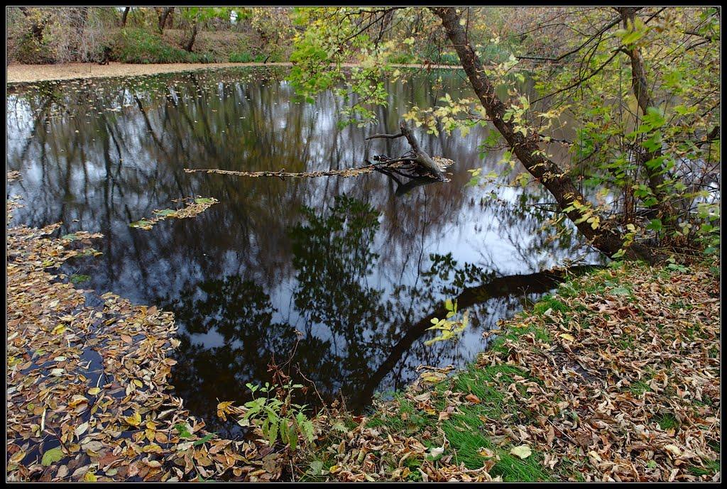 Сорокове з panoramio.com - Сороково