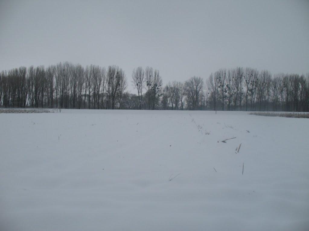 Верхні Ремети з panoramio.com - Верхние Реметы