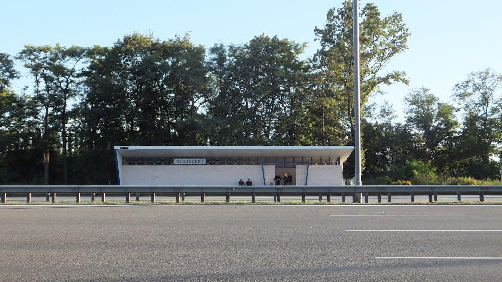 Чубинське з panoramio.com - Чубинське