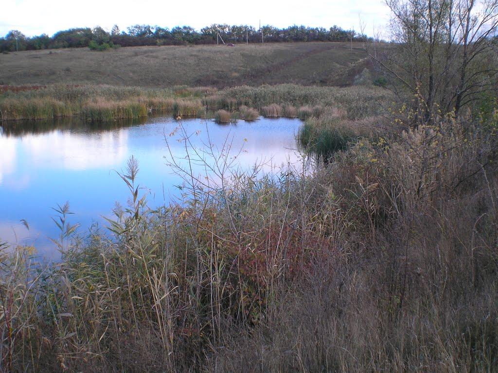Золотий Колодязь з panoramio.com - Золотой Колодезь