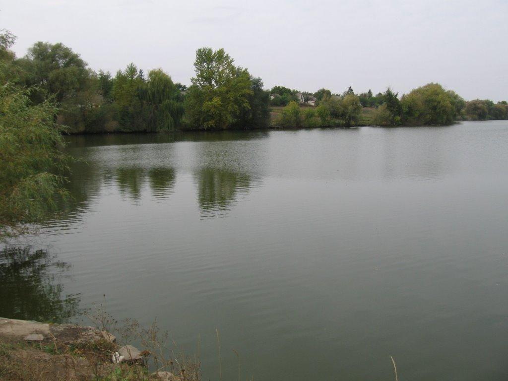 Сорокотяга з panoramio.com - Сорокотяга