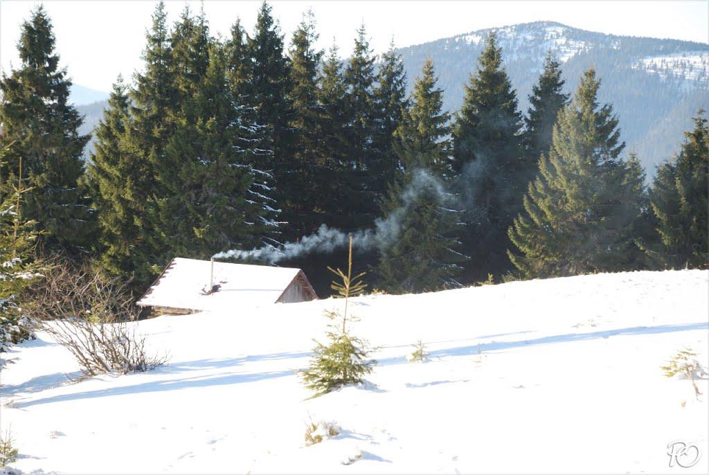 Береги з panoramio.com - Береги