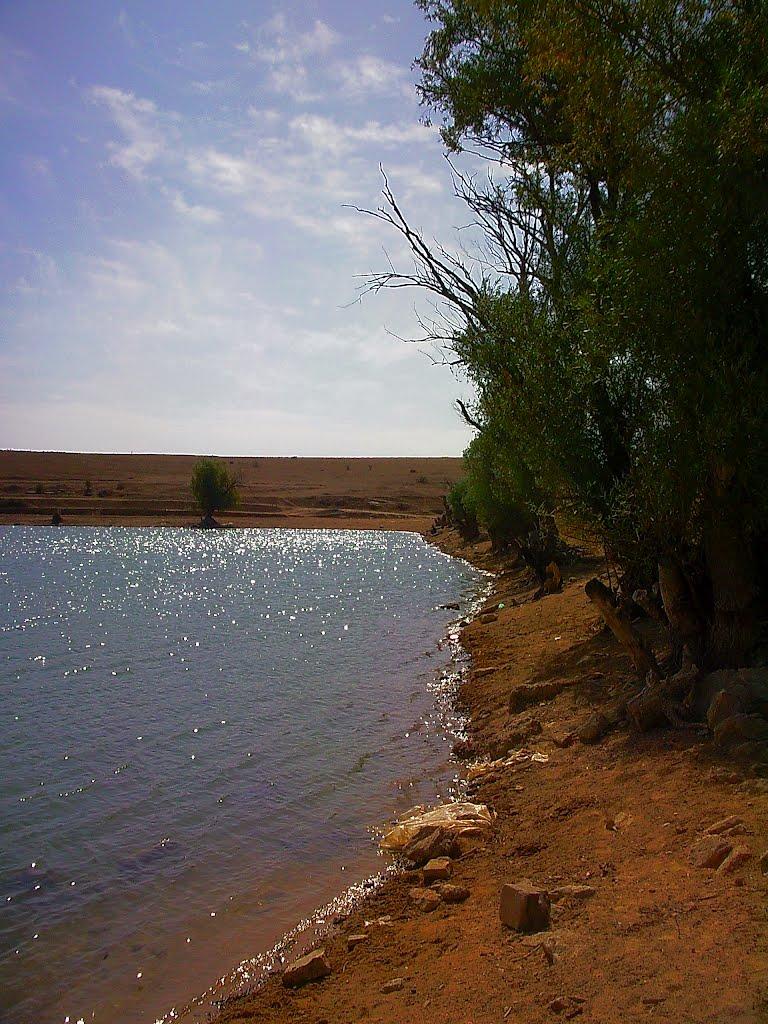 Кочергіне з panoramio.com - Кочергино
