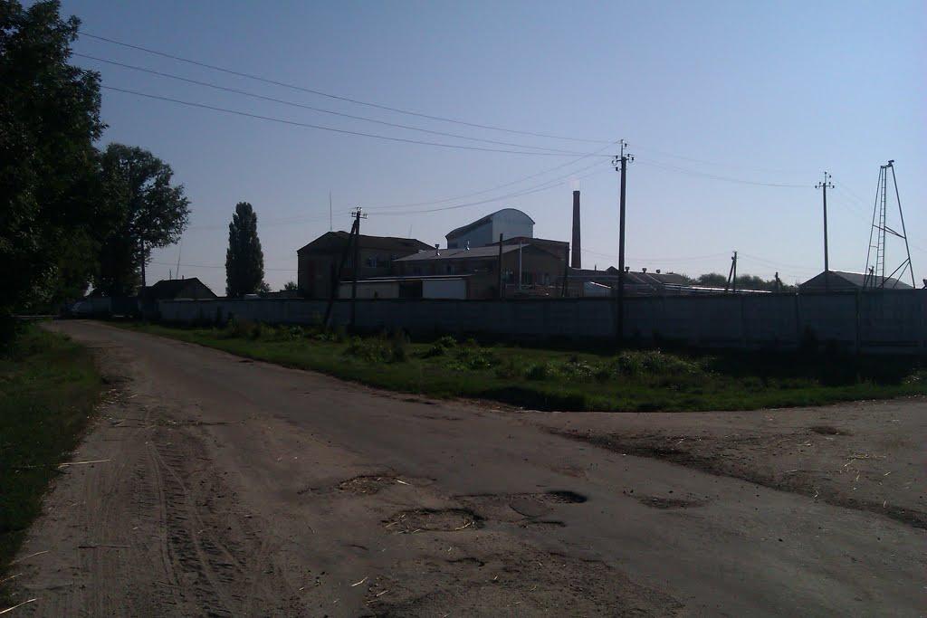 Рихальське з panoramio.com - Рыхальское