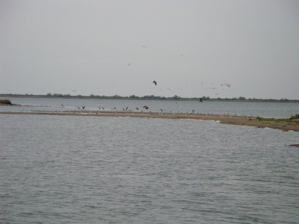 Весела Балка з panoramio.com - Весела Балка