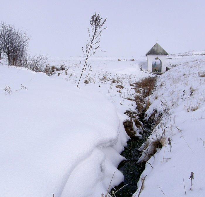 Стаївка з panoramio.com - Стаївка