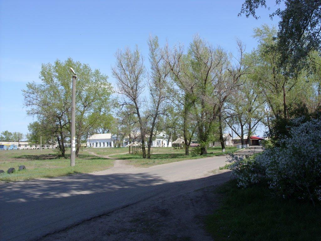 Станично-Луганське з panoramio.com (ч.2) - Станично-Луганское