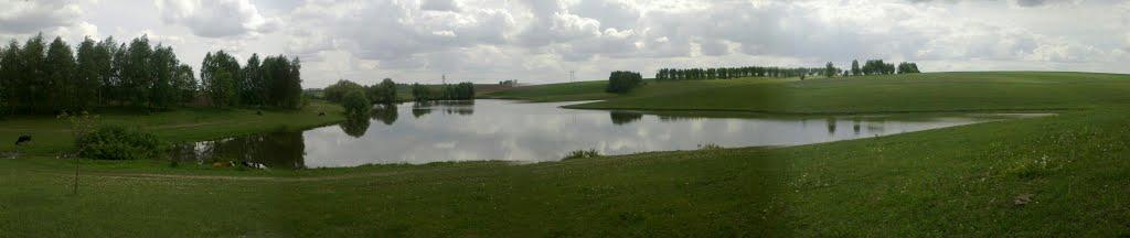 Черемошне з panoramio.com - Черемошное