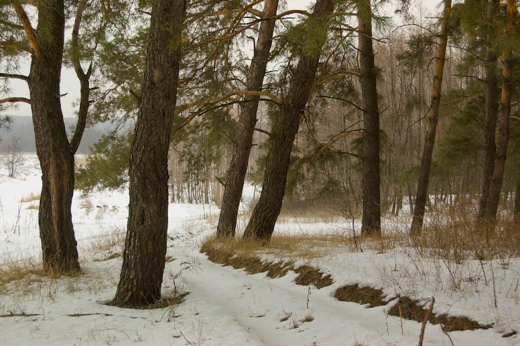 Мохнач з panoramio.com - Мохнач