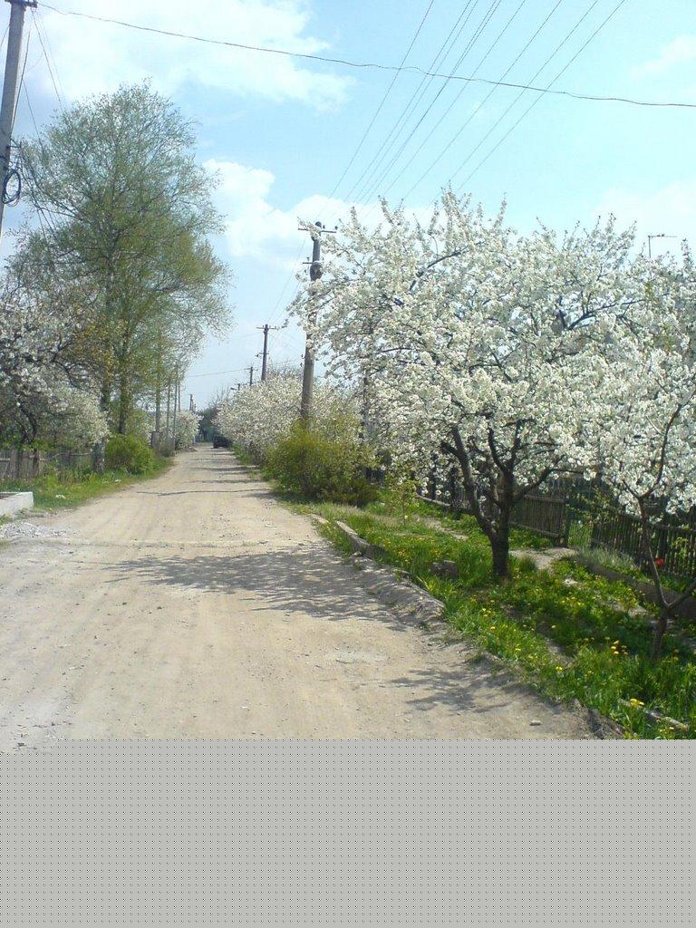 Стужиця з panoramio.com (ч.2) - Стужица