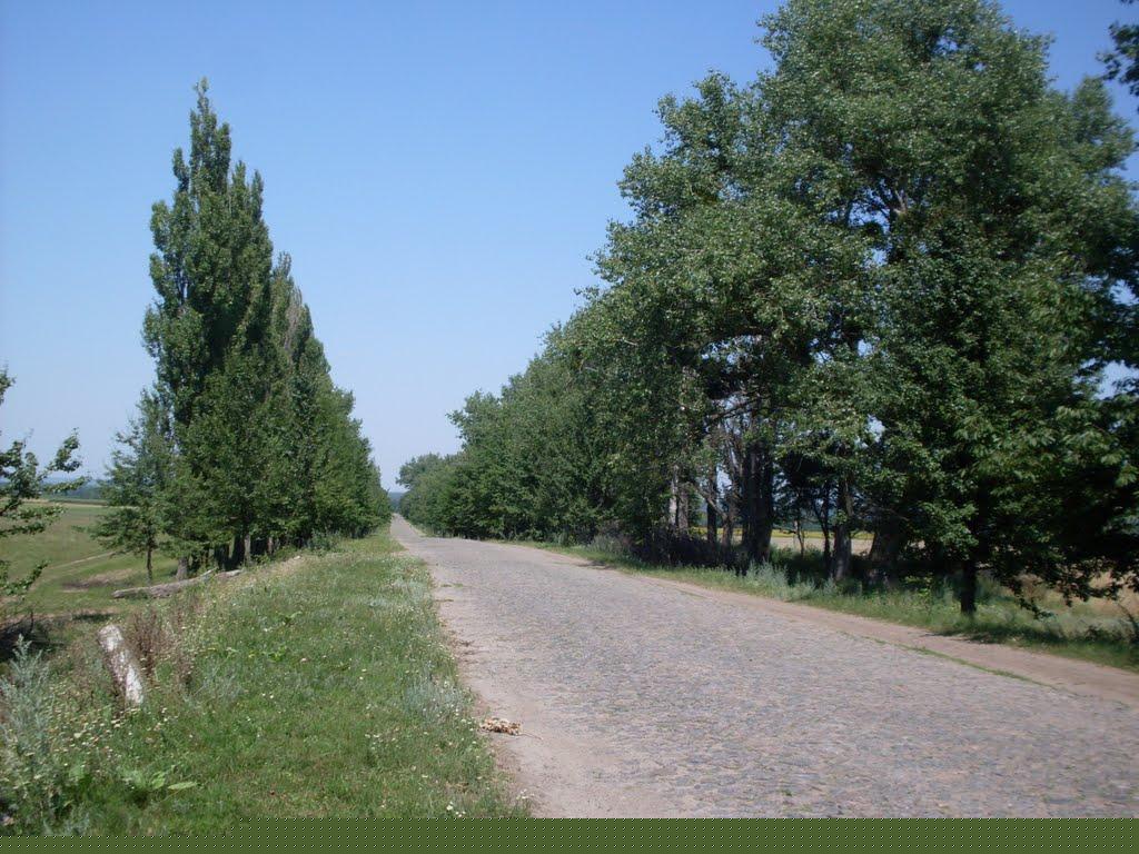 Амвросіївка з panoramio.com - Амвросіївка