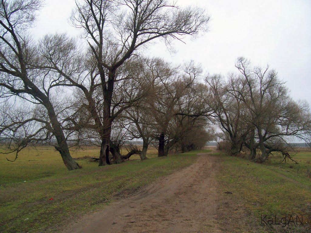 Снитище з panoramio.com - Снитище