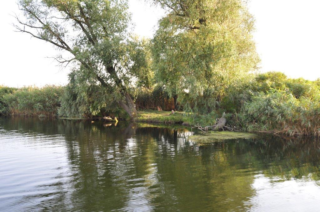 Берегове з panoramio.com - Берегове