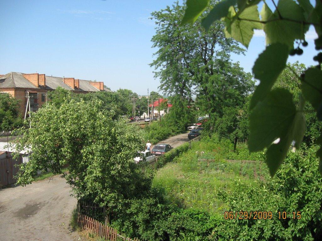 Солгутове з panoramio.com - Солгутово