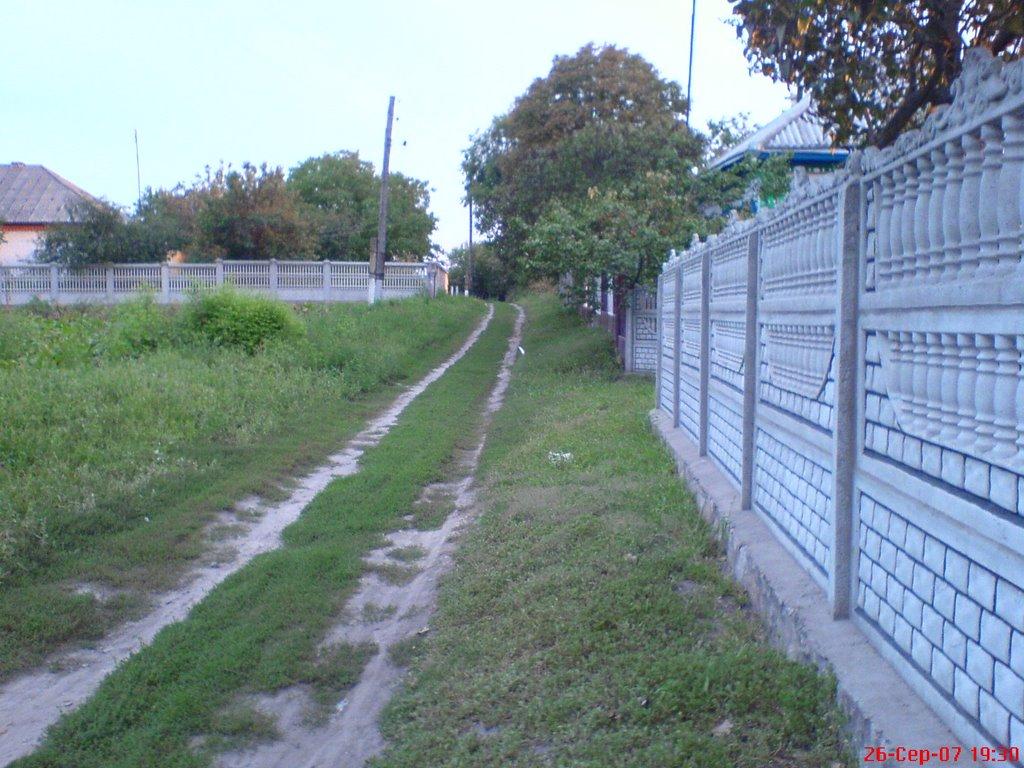 Піщане з panoramio.com - Песчаное