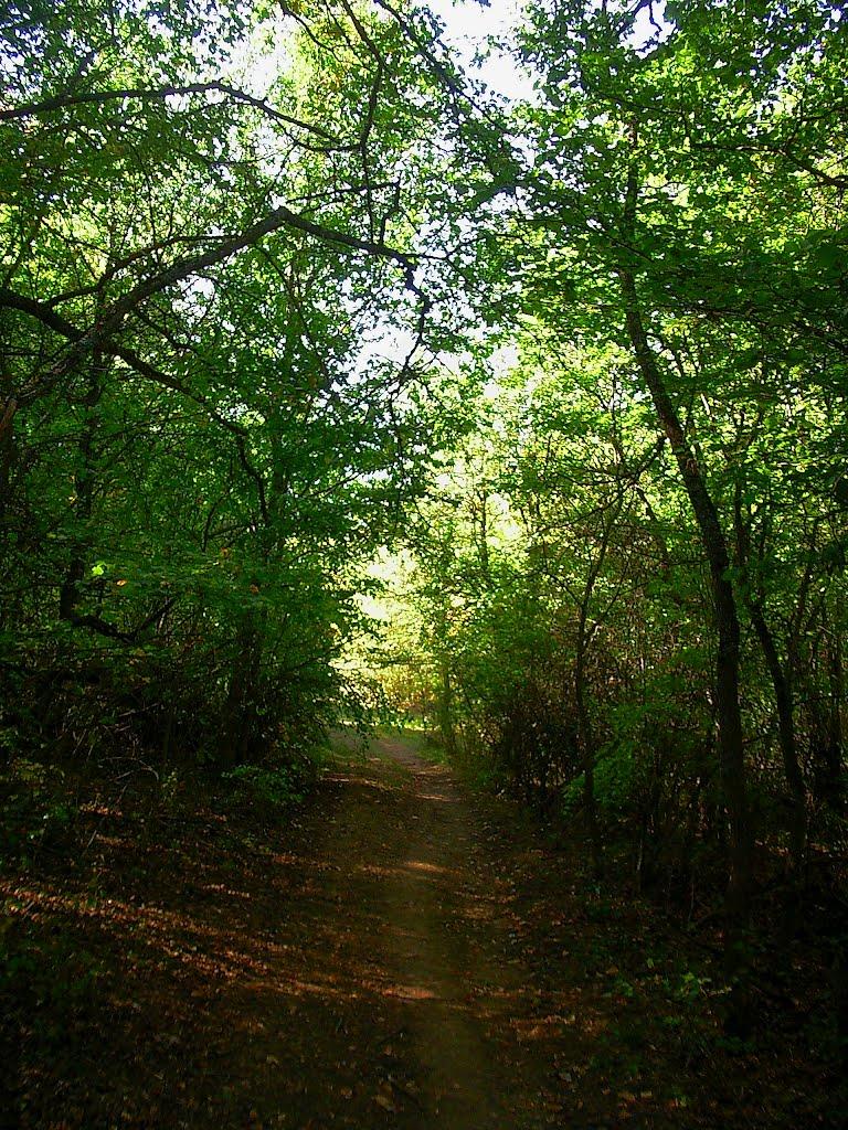 Плотинне з panoramio.com - Плотинне