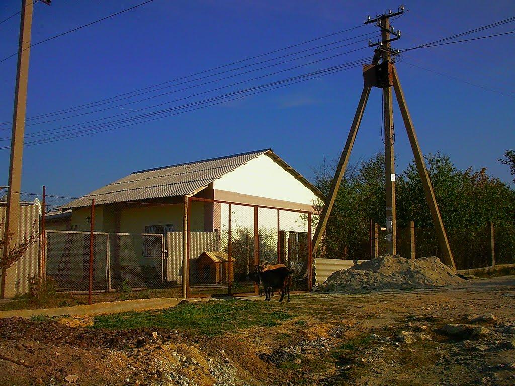 Трудове з panoramio.com - Trudove