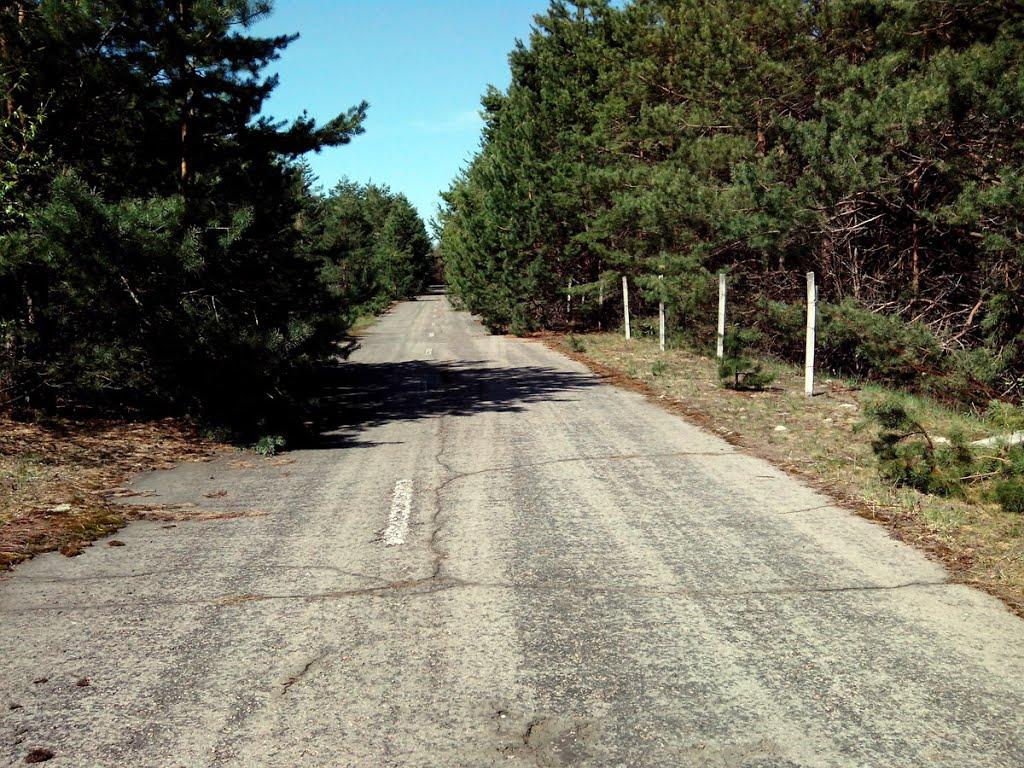 Нівецьке з panoramio.com - Нивецкое