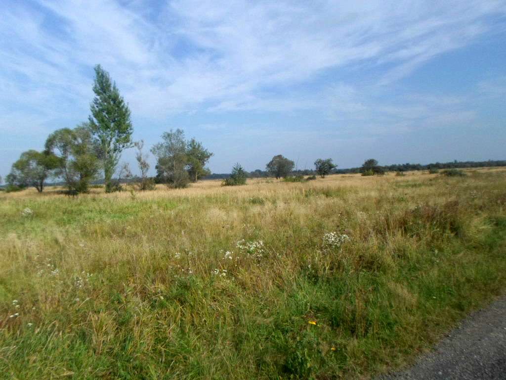 Краєвид - Угільня