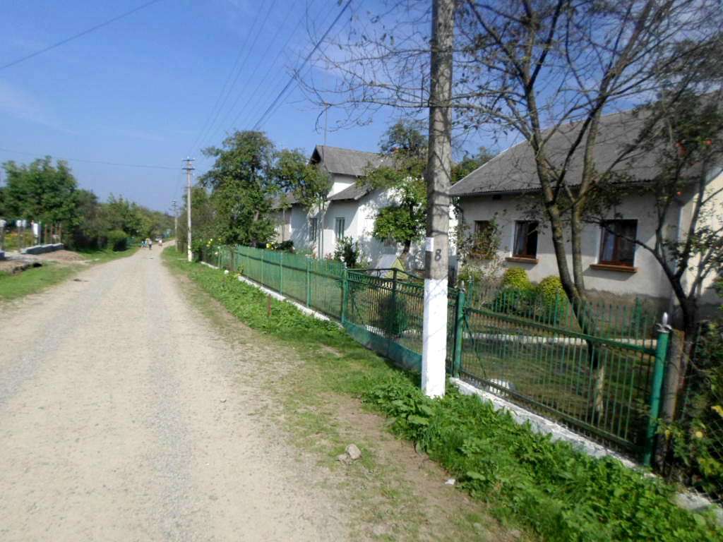 Краєвид - Лотатники