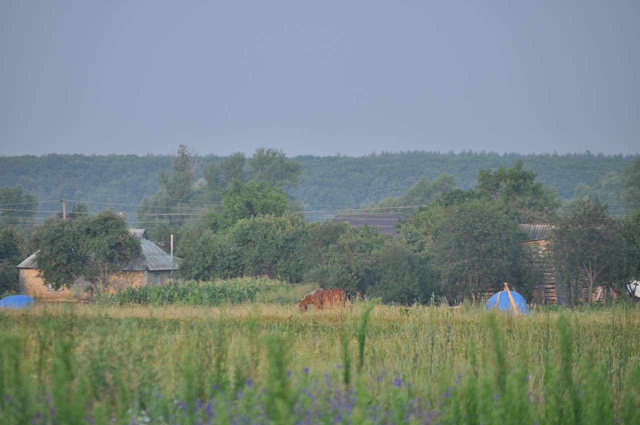 Соловіївка - Соловеевка