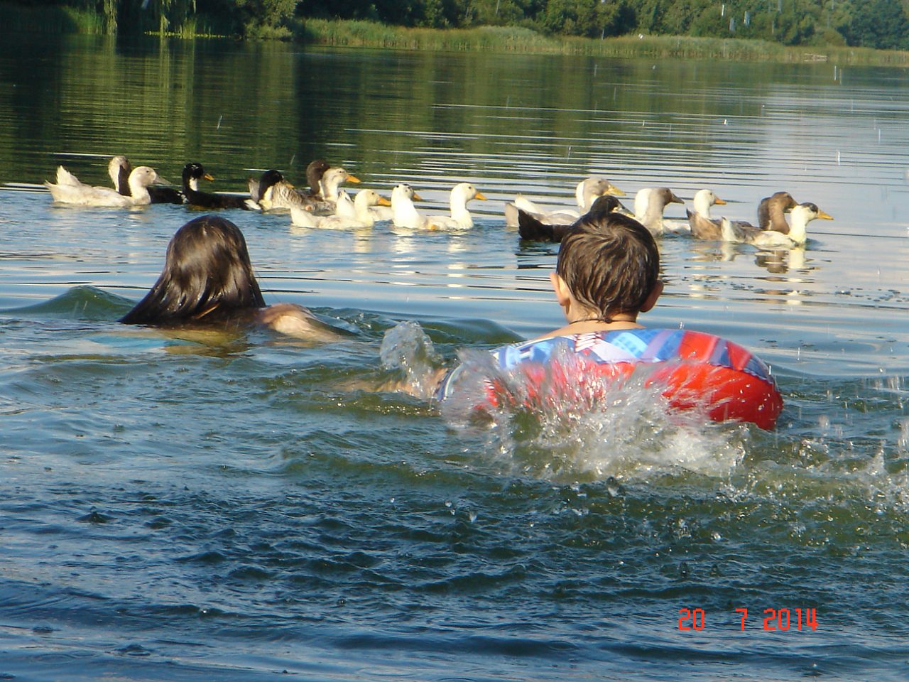 мояПилипча - Пилипча