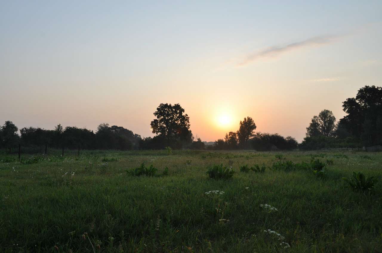 Соловіївка - Соловіївка