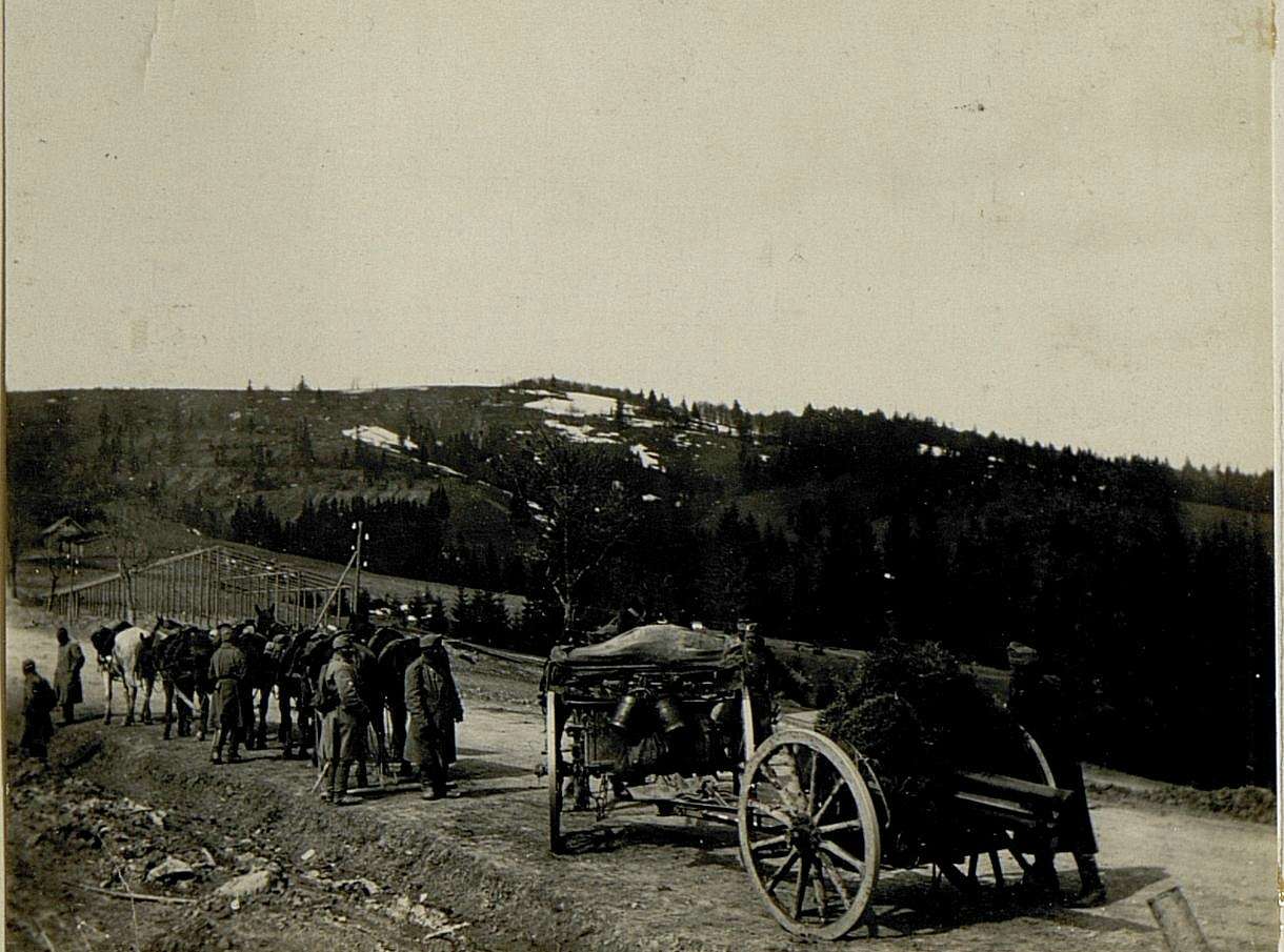 Перша світова війна - Тухолька