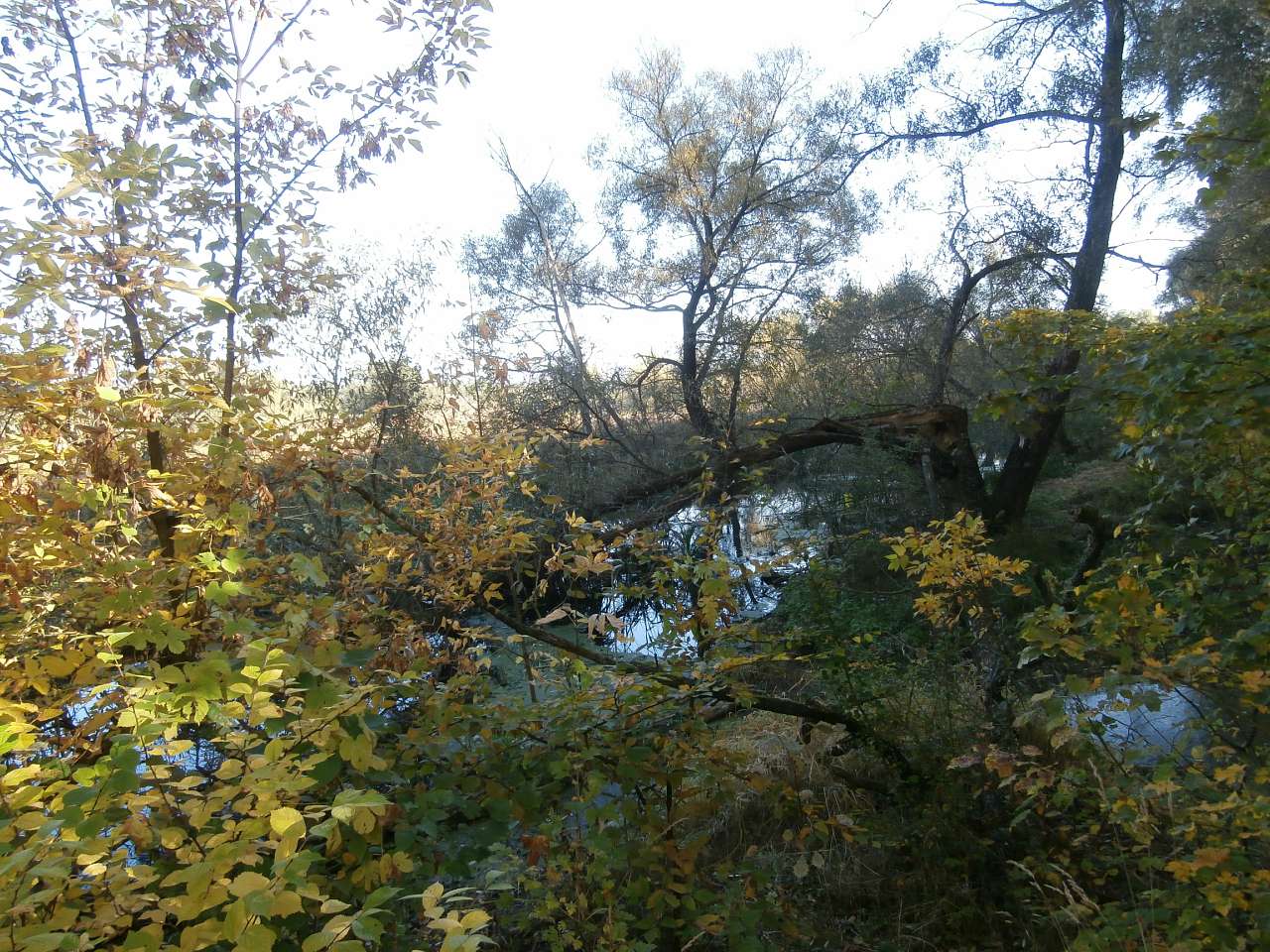 Рай на земле