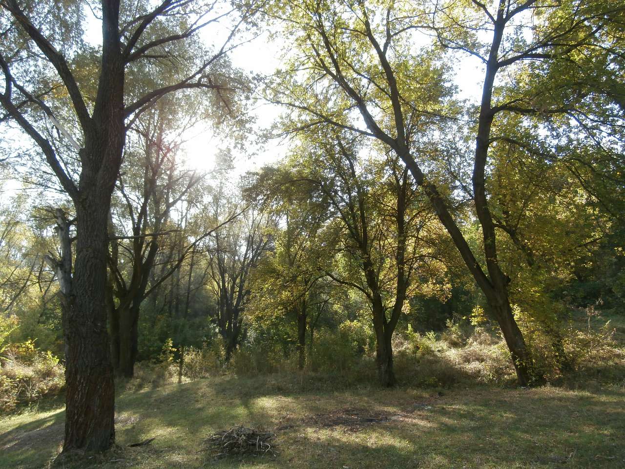 Рай на земле - Скаливатка