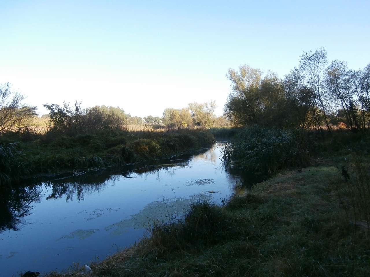Рай на земле - Скалеватка