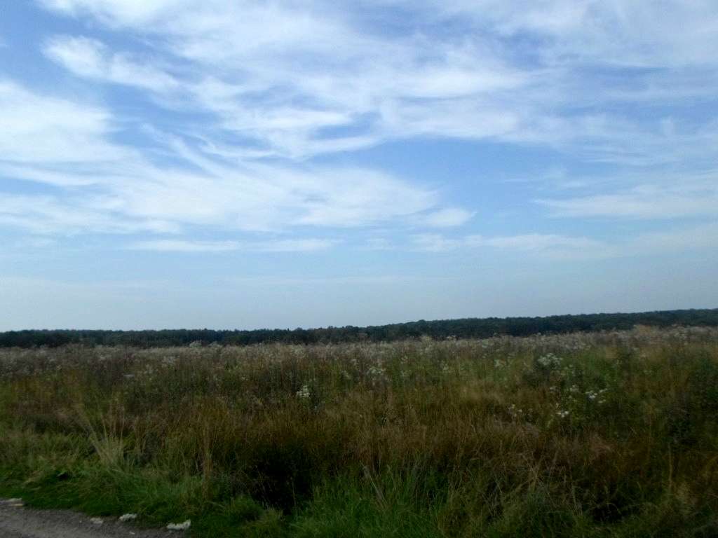 Краєвид - Угільня