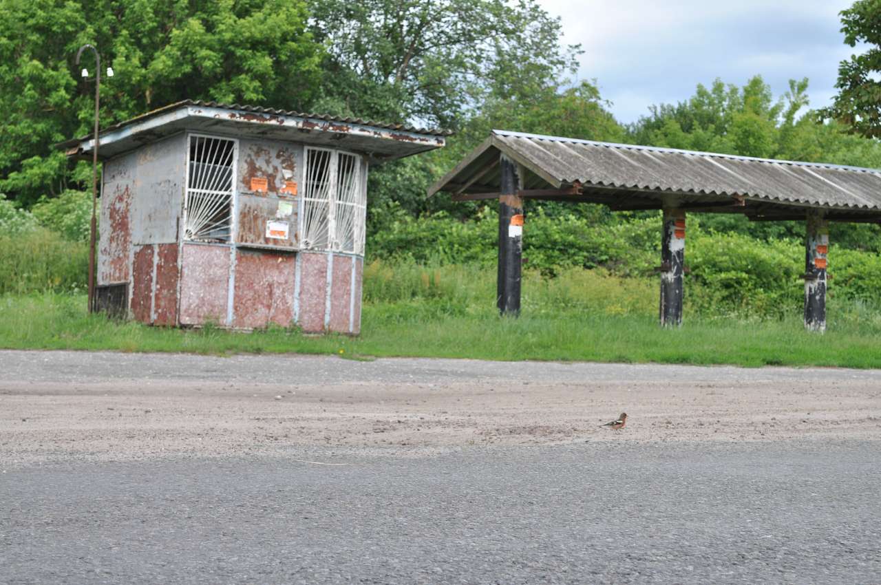 Соловіївка - Соловеевка