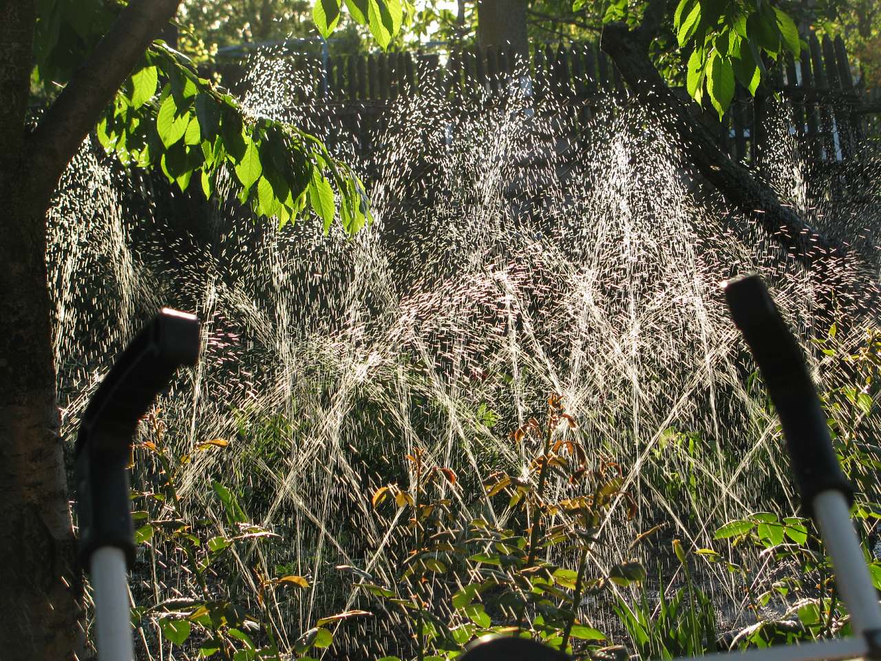 Моє село - Партизани