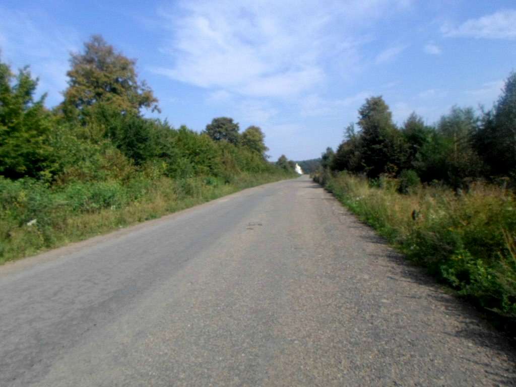 Краєвид - Лотатники