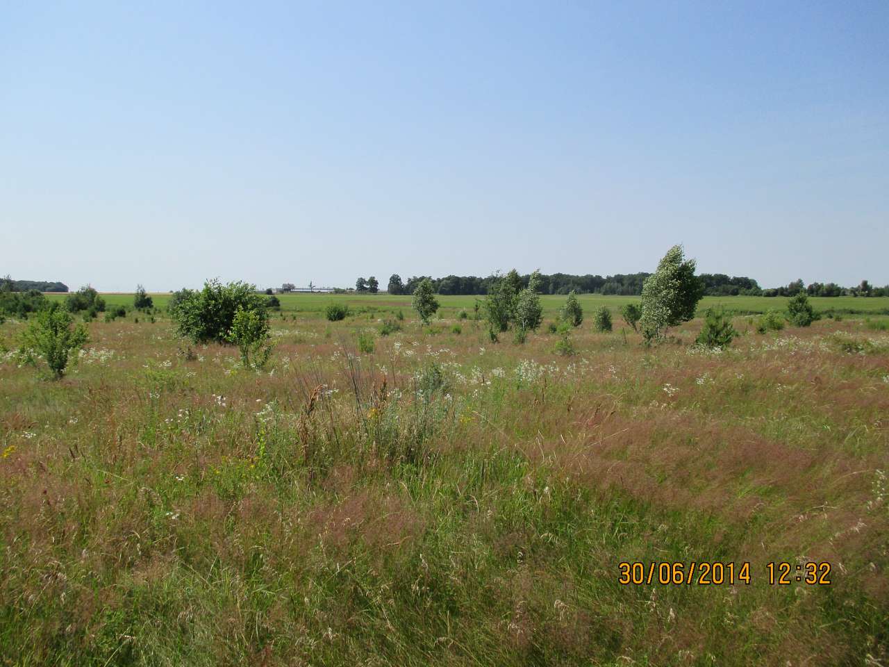 Літо - Didova Gora