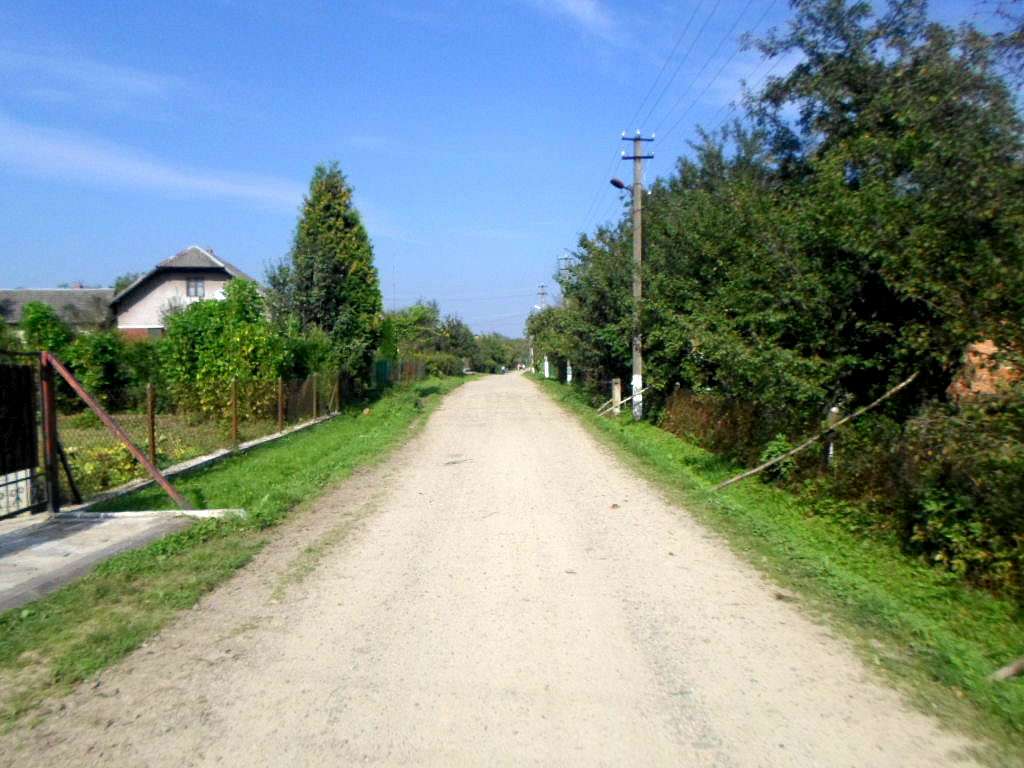Краєвид - Лотатники